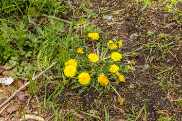 Similar image 21334761