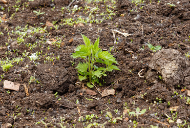 Similar image 21334763