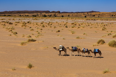 Similar image 21334766