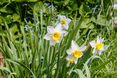 Similar image 21334767