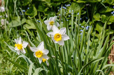 Similar image 21334769