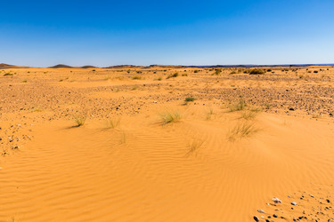 Similar image 21334774