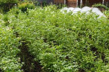 Similar image 21334777