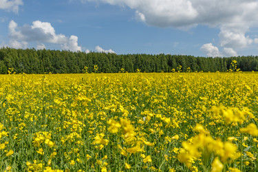 Similar image 21334789