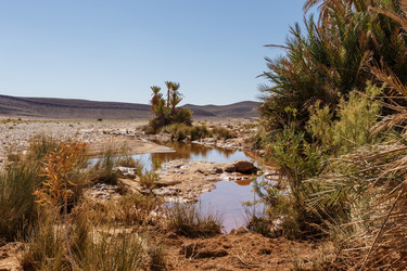 Similar image 21334818