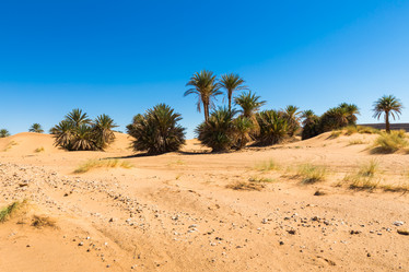 Similar image 21334819