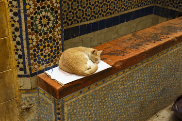 Similar image 21334820