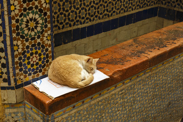 Similar image 21334822