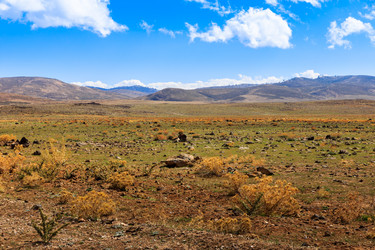 Similar image 21334829