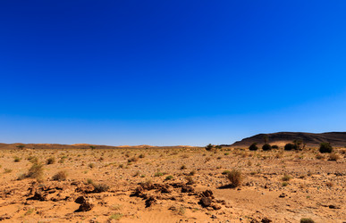 Similar image 21334839