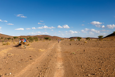 Similar image 21334844