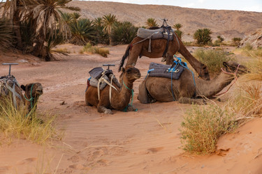 Similar image 21334865