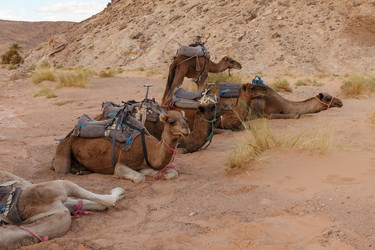 Similar image 21334866