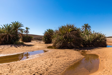 Similar image 21334871