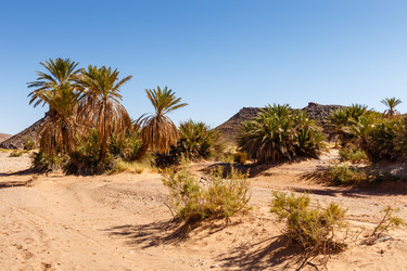 Similar image 21334872