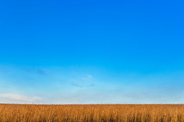 Similar image 21335941