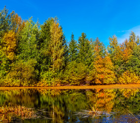 Similar image 21335943