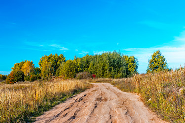 Similar image 21335945