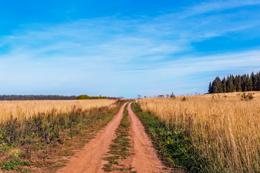 Similar image 21335949