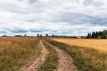 Similar image 21335995