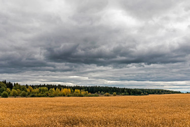 Similar image 21335952