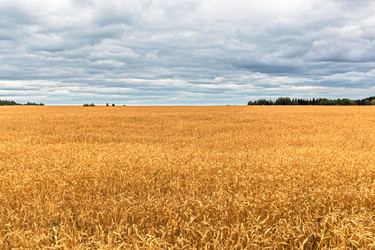 Similar image 21335953