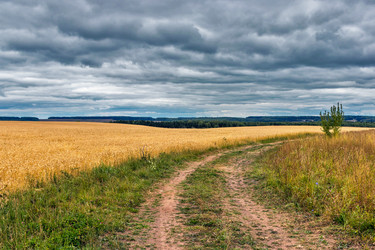 Similar image 21335954