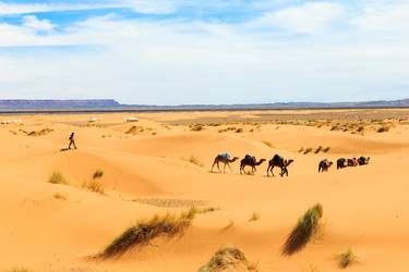 Similar image 21335477