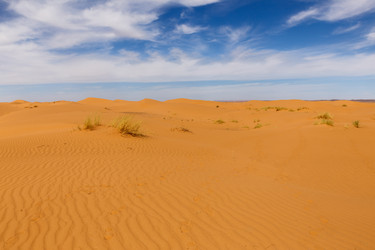 Similar image 21335479