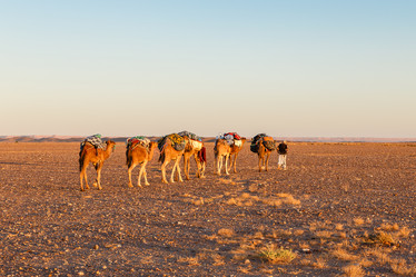 Similar image 21335492