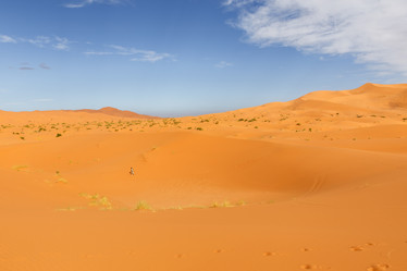 Similar image 21335493