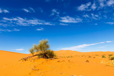 Similar image 21335503