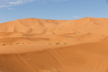 Similar image 21335505