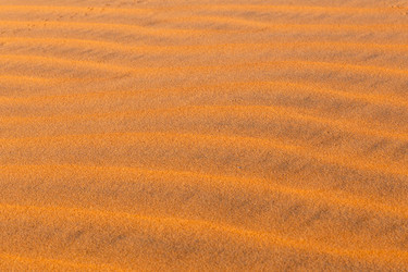 Similar image 21335506