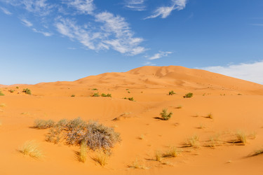 Similar image 21335513