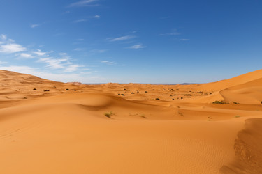 Similar image 21335515