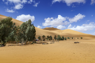 Similar image 21335524