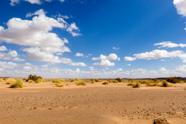 Similar image 21335528