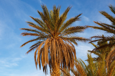 Similar image 21335531