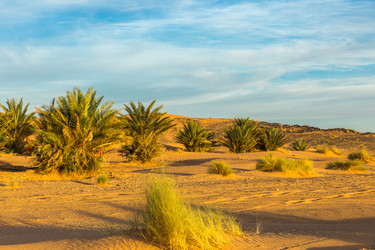 Similar image 21335533