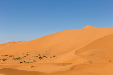 Similar image 21335534