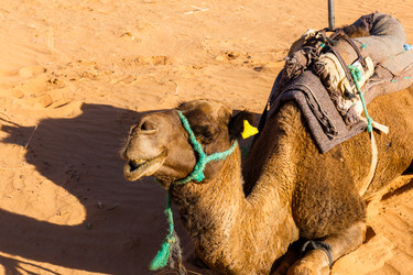 Similar image 21335539