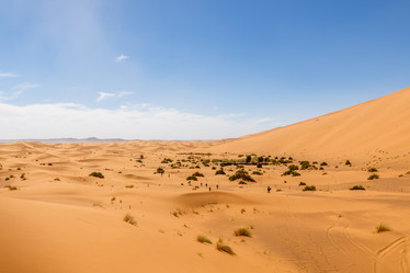 Similar image 21335550