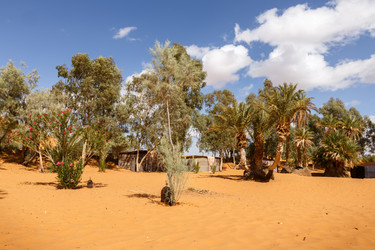 Similar image 21335552