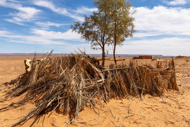 Similar image 21335645