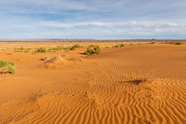 Similar image 21335654