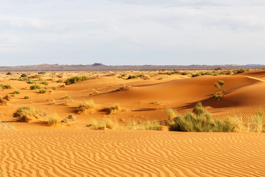 Similar image 21335658