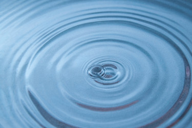 Similar image 21343072