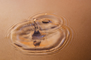 Similar image 21343075