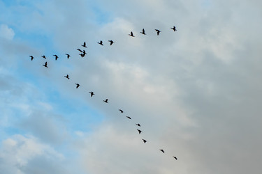 Similar image 21340880